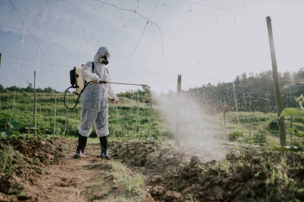 Best Pest Prevention Services  in Capac, MI