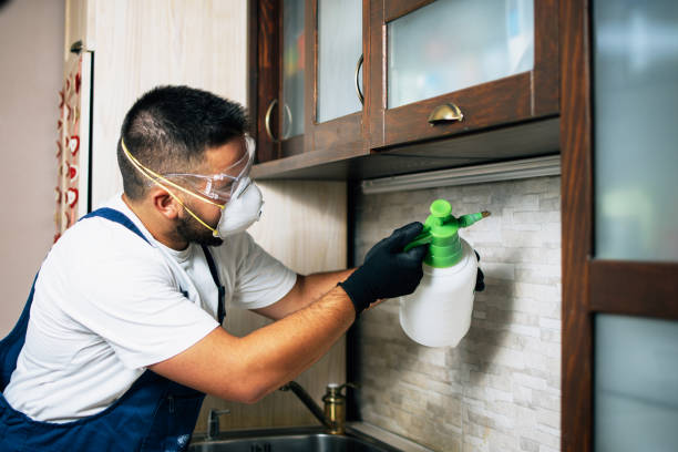 Best Pest Inspection Near Me  in Capac, MI