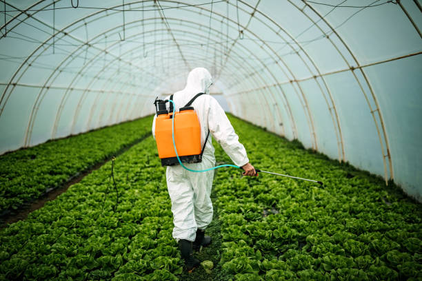 Best Best Pest Control Companies  in Capac, MI
