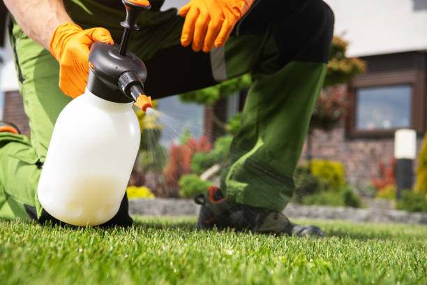 Best Bed Bug Extermination  in Capac, MI