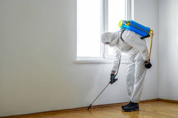Best Wildlife Control Services  in Capac, MI