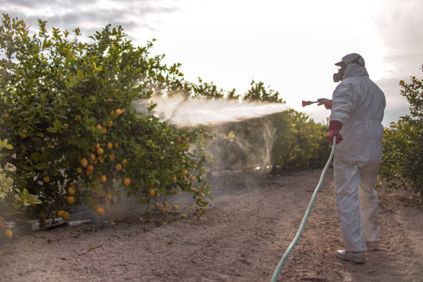 Best Residential Pest Control  in Capac, MI