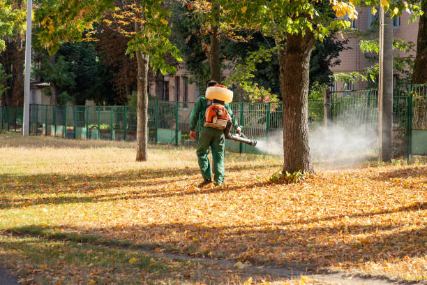Best Wasp Removal Services  in Capac, MI