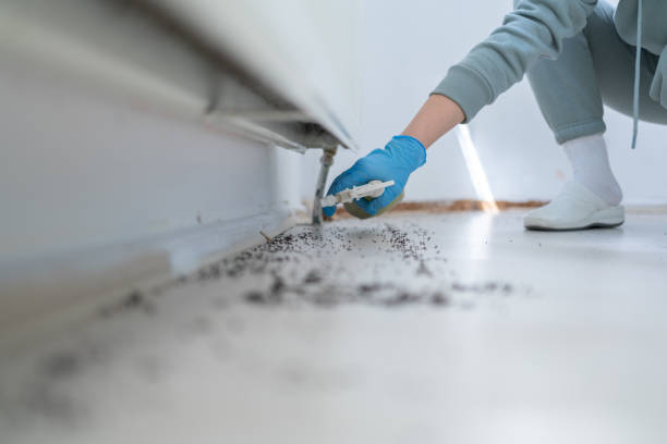 Best Exterminator Services  in Capac, MI