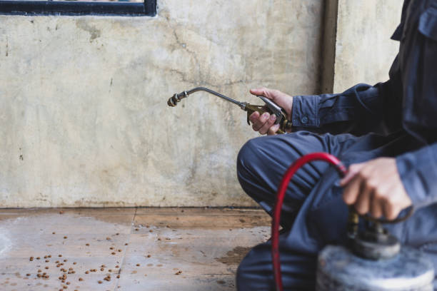 Best Pest Control for Businesses  in Capac, MI