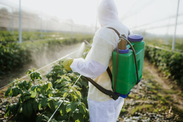Best Pest Removal Services  in Capac, MI